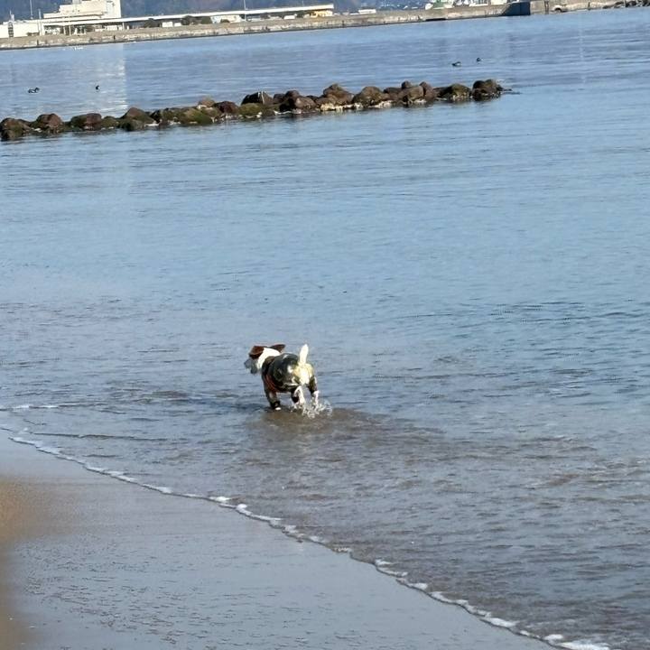 C42094aa ad9f 4940 b024 dbc80b562679 1771037263876