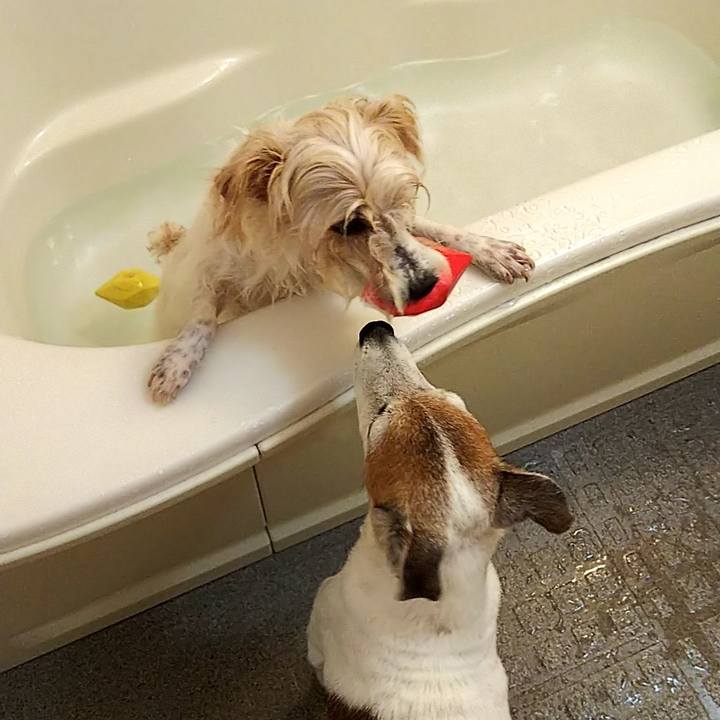 C420f0fd 80fb 4be7 9759 7e41d4817917 1566090011177