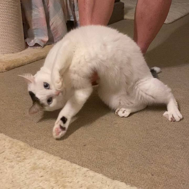 C42105a1 a566 49b1 b996 29ac93da7adf 1666821716543