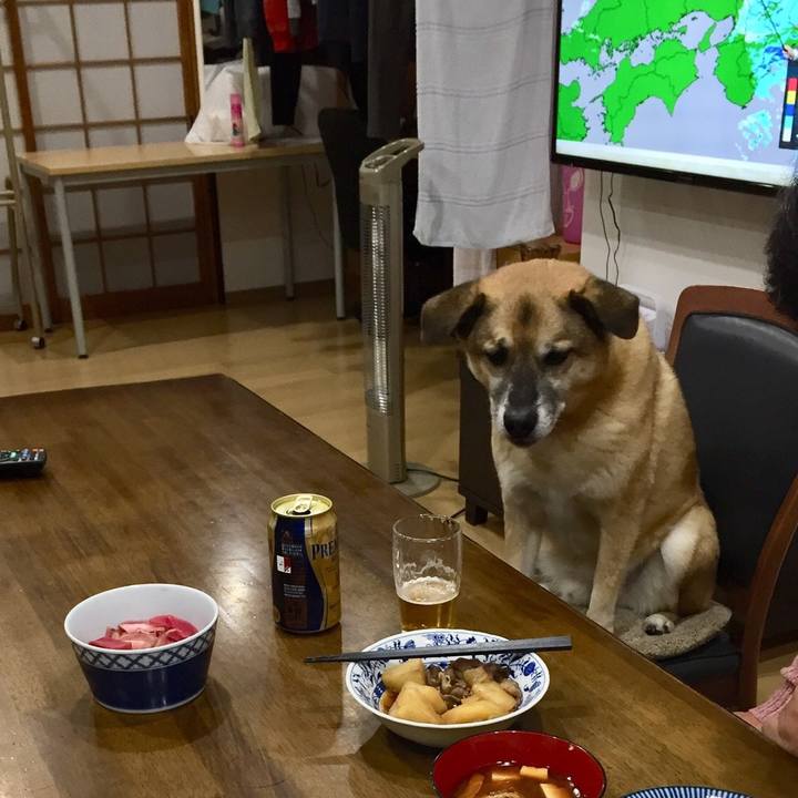 C4210ca8 a0f0 4159 9cd4 e40b6b95572b 1516615403026