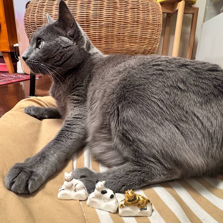 C4214067 9f1d 438c a12c 13ca8265eab9 1765702378339