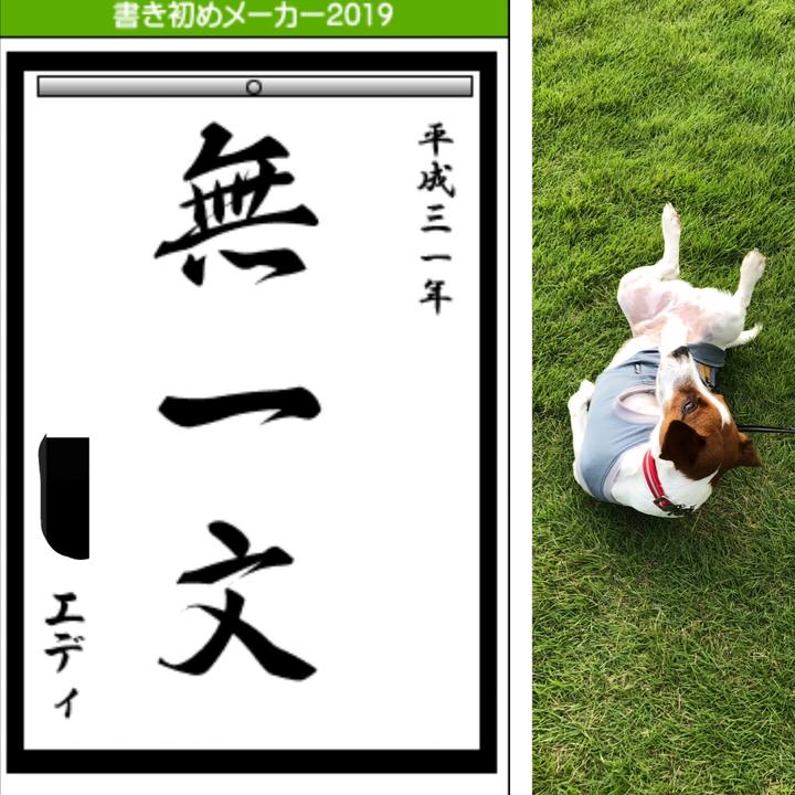 C4217bc2 28fc 446d a219 a8280ae43554 1546471393231