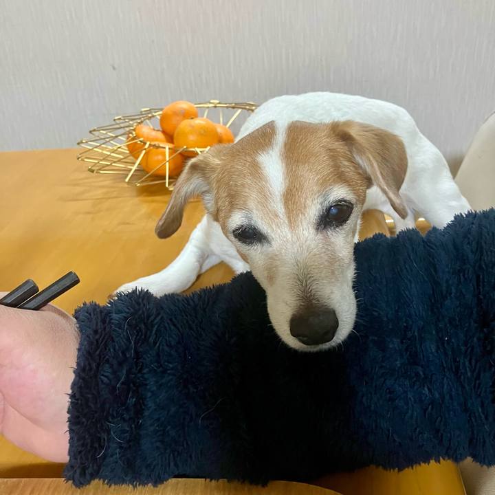 C421a5e8 96fa 4bff 8e74 ce2faa52b7dc 1703252038895