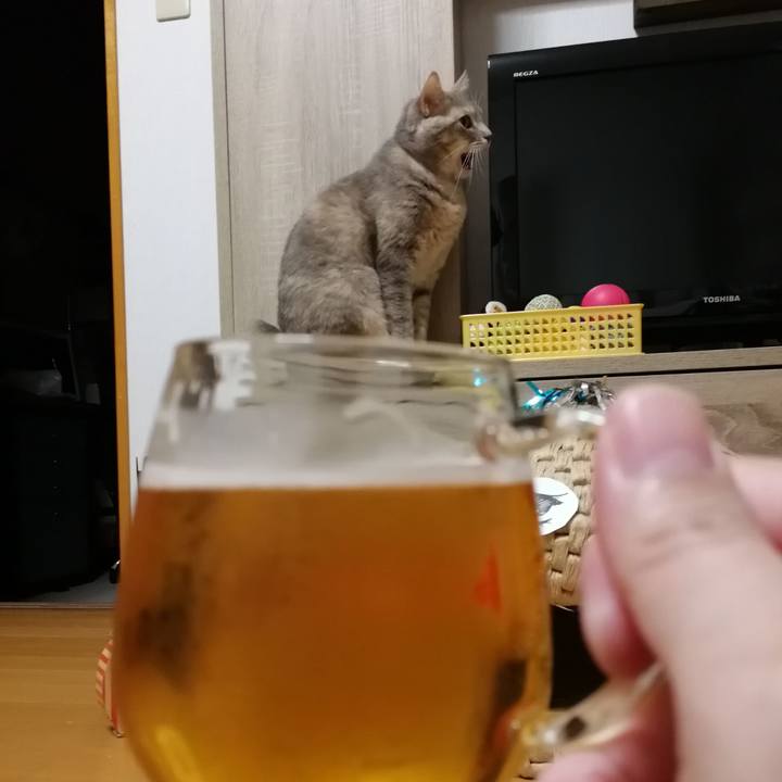 C421b673 5cfe 4512 b580 17c15b922773 1549111244339