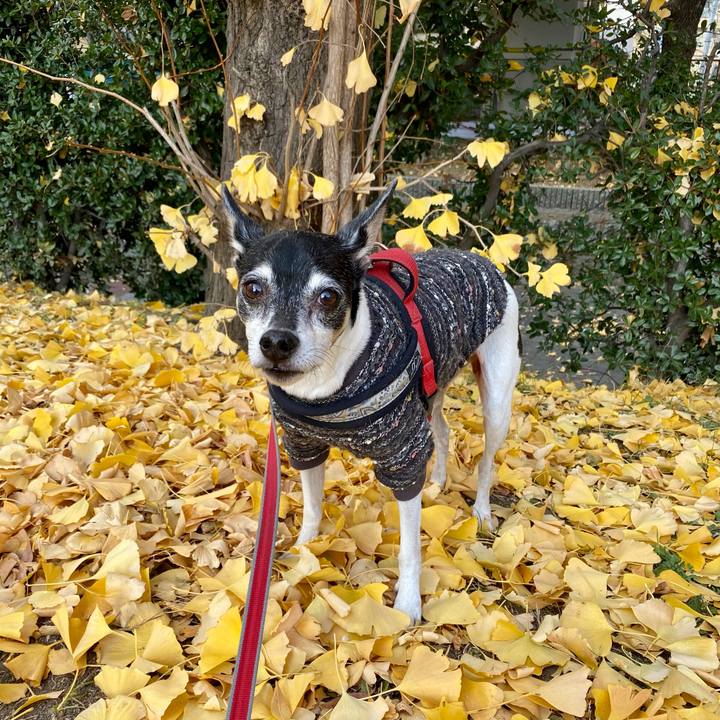 C421ced9 bb42 4ad9 a87b c59491be847e 1607834780943