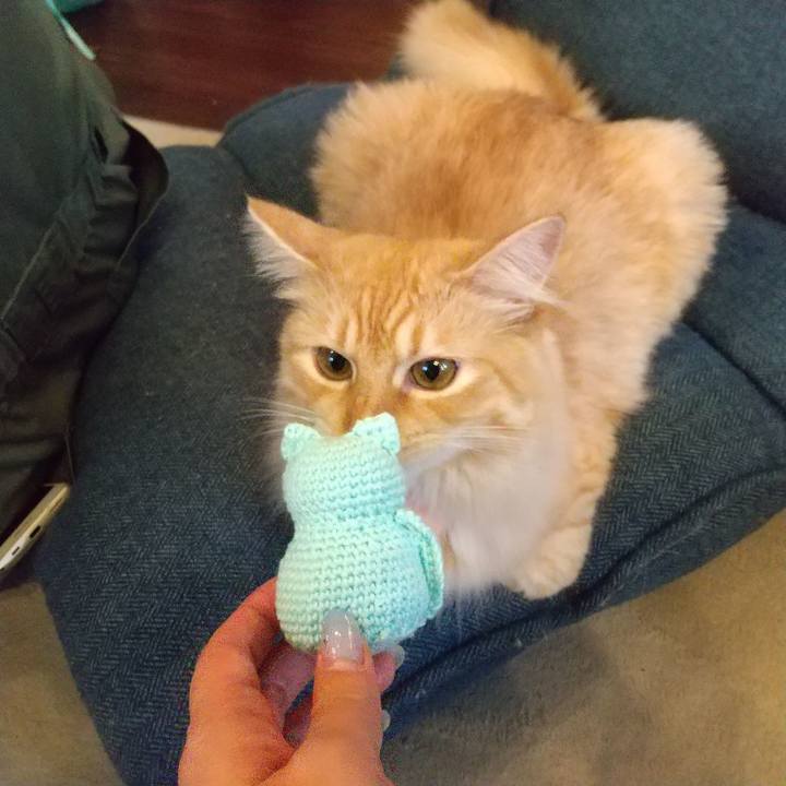 C421e1c5 a8b9 495f b8db 2f11b85216ae 1629000794192