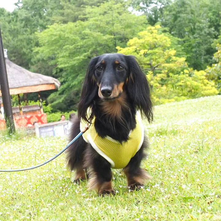 C421ecaf 7206 4d74 8ccf fbceeb84c2fb 1527390535111