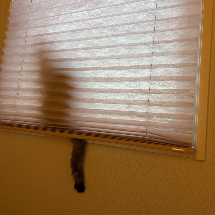 C422047e 256b 4f2c b343 54fe1d75a18a 1768206706288