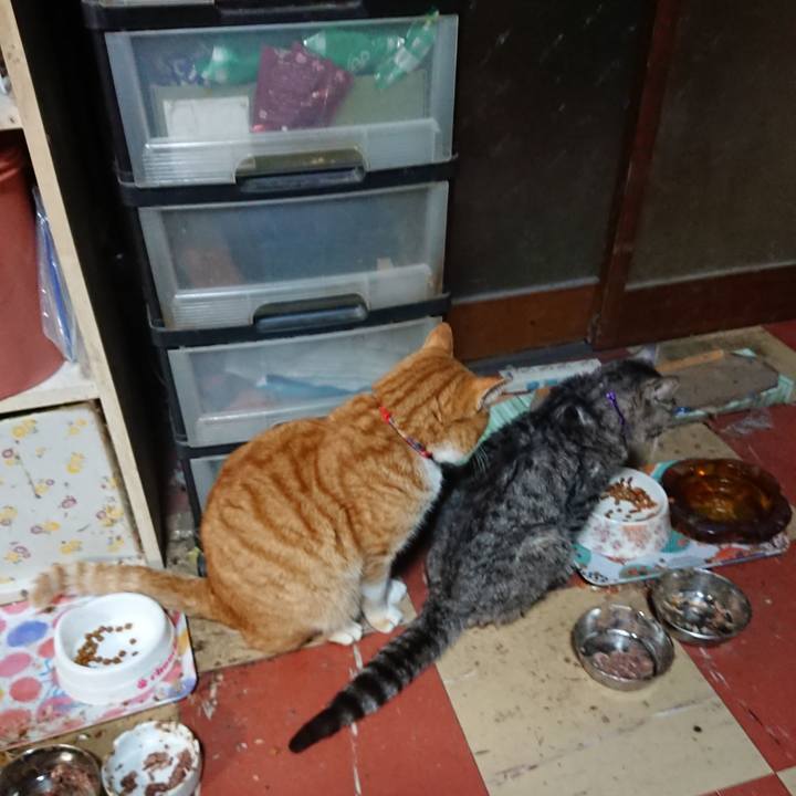 C4221104 56e1 4ad9 ab85 af0b28d09ebe 1578731650158