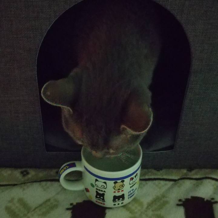 C4223a7c 49a0 4ecc bbdd a33e348999f3 1680081857452