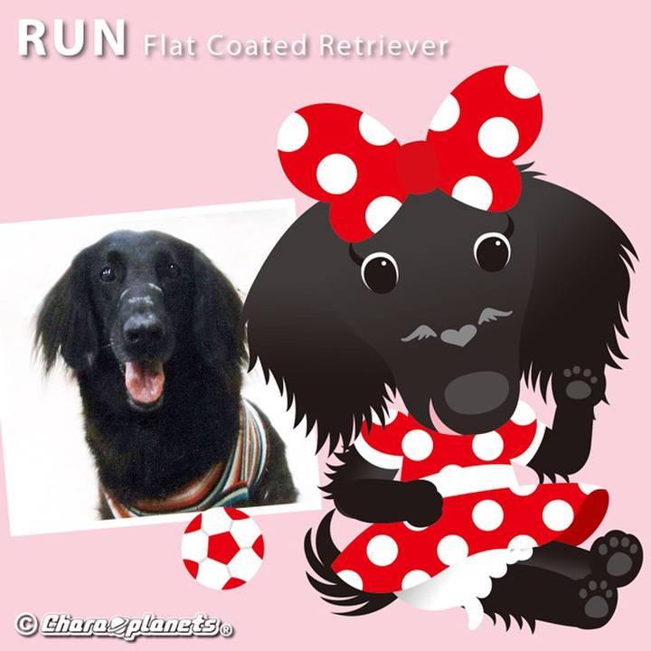 C422507e 4bf9 4bd8 978e cc0198eeb98e 1562206249170