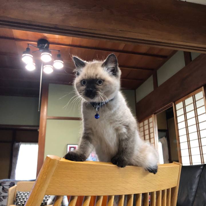 C42254ac 6f29 4c39 bba0 e067ea49dc2b 1587443684132