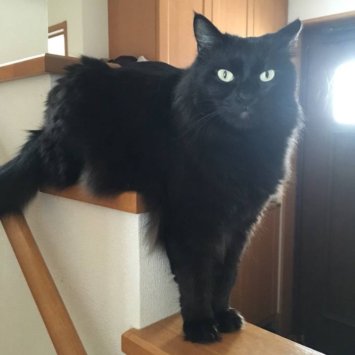 C42270fe 77f7 409f 8d96 f84c10f72cc0 1515378194789