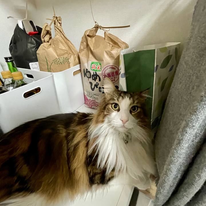 C42284fa f4ca 4e67 ba62 d8ac0c0e242c 1676148742944