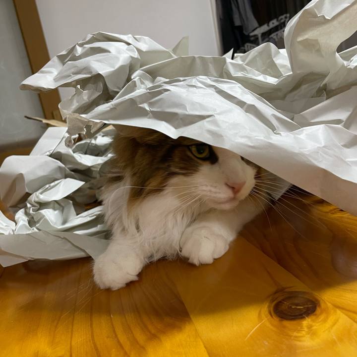 C4229747 eeee 46ee 9dd1 721cbaa6a16f 1665917803390