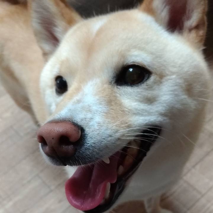 C4230620 38e0 48fd 93e2 2c552d1b6cac 1596750307438