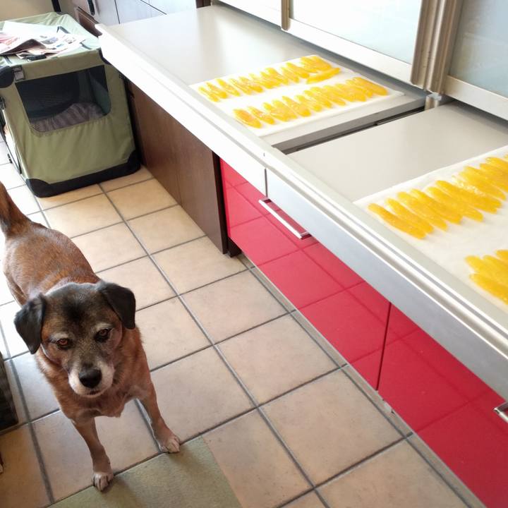 C4233b81 8f23 4689 ad1c 3a75ecc40e0a 1709601773990