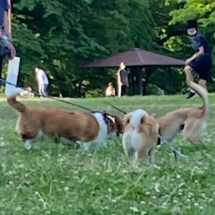 C423a019 7cc2 4dd9 9581 442f0d4e438f 1652053535697