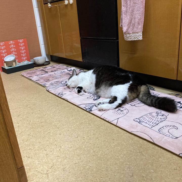 C4243246 75be 405c bacf 8624e6dbdd91 1713479205244