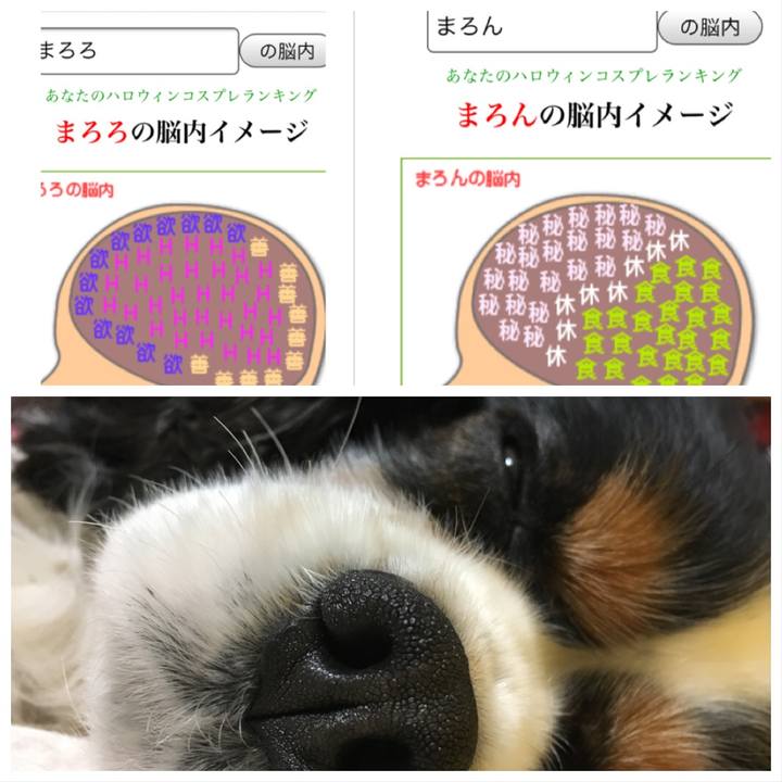 C424a088 e127 4cf5 908d eefc60c1dbab 1515419466369