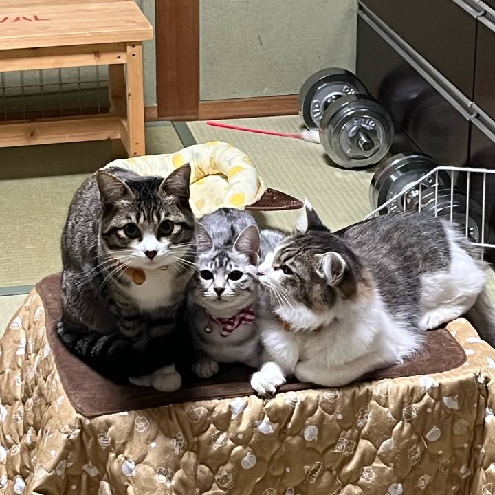 C424b5ee 70a8 45e0 b85b 9394ca6ca550 1703658381062