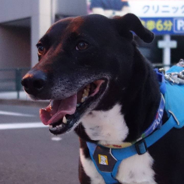 C424c9c7 930d 4e70 9667 433cc054d0df 1686741222639