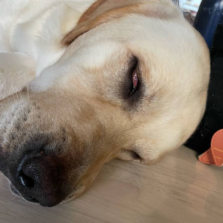 C4250a46 89ab 444b a6d3 db6775206af3 1660718805564