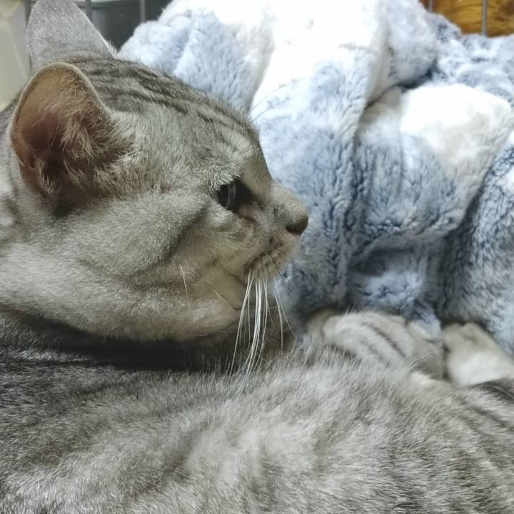 C42532b3 f46b 4757 93eb 548107855026 1599135208840