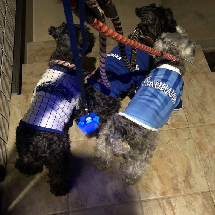 C425340a 9711 4842 a34d f97f7c2264a6 1536325114945