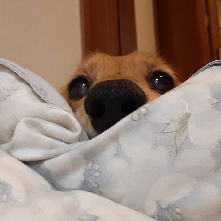 C4254084 6d44 467a b2e9 72953c47dc73 1605790056577