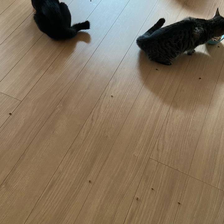 C4254544 accb 43d5 9026 950431679c64 1616849005626