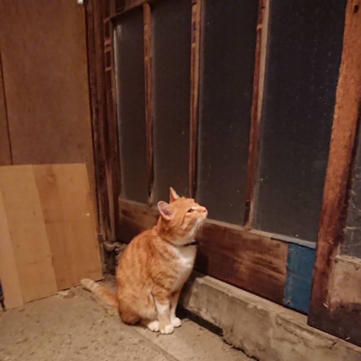 C425ab59 268b 4b8a 8472 5d4da517350c 1603703336178