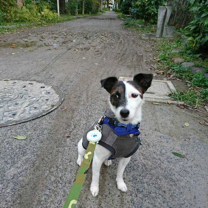 C425c08d 0585 4221 af86 f86282bada70 1508797220959