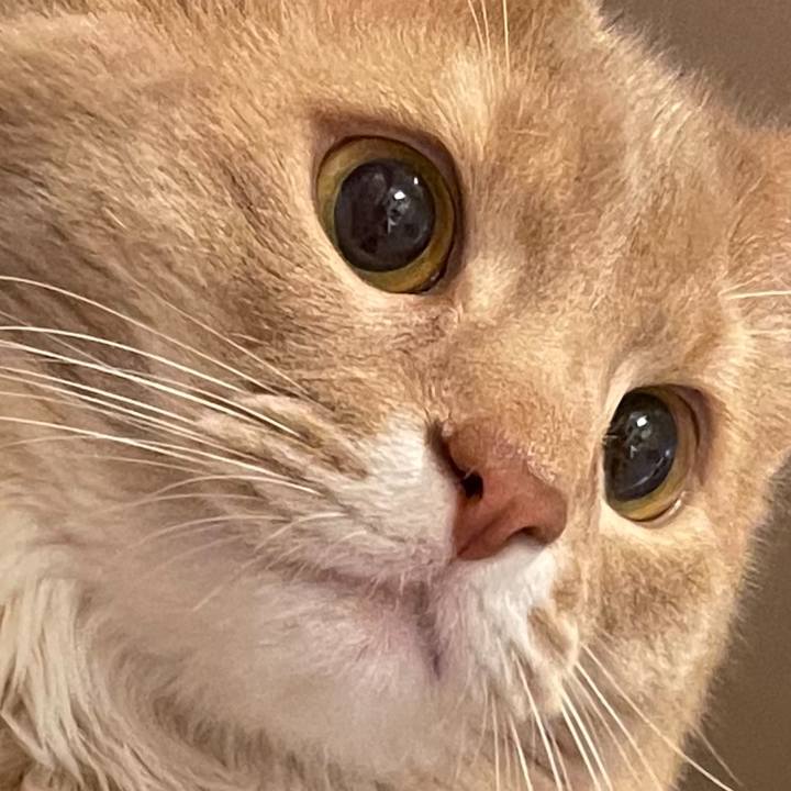 C425c4ef acef 42a9 b32c 3a12d9168bf2 1605931897406