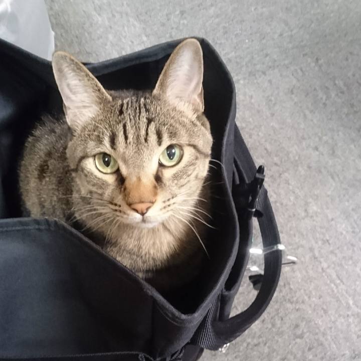 C4260fc3 2e32 4bf6 9f9d acdb64fcc4e1 1510282552053