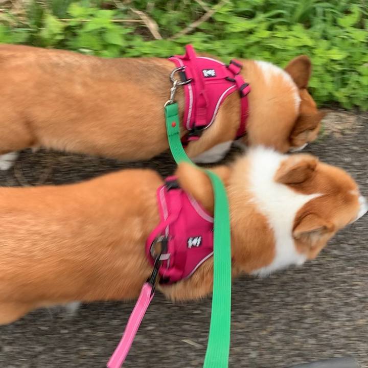 C42615b5 3120 444d aed6 81a062b2d3e6 1633508626207