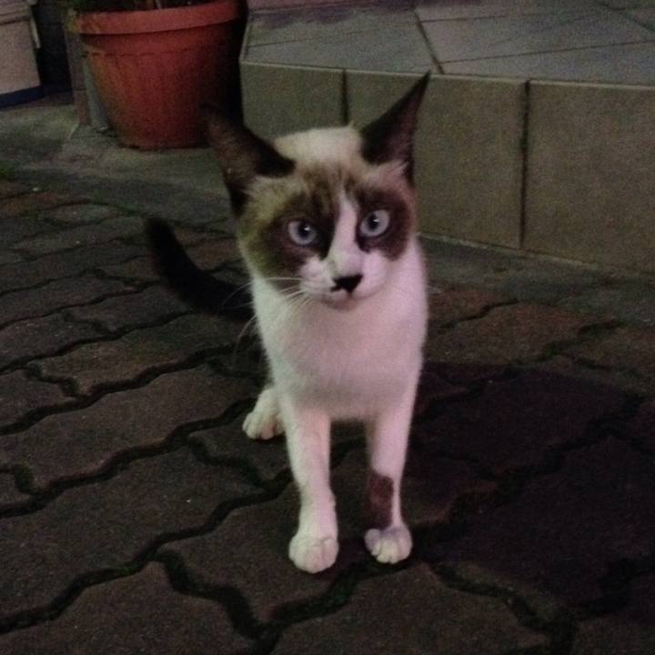 C4261892 92ee 483a adbf f805806d41c5 1508814021927