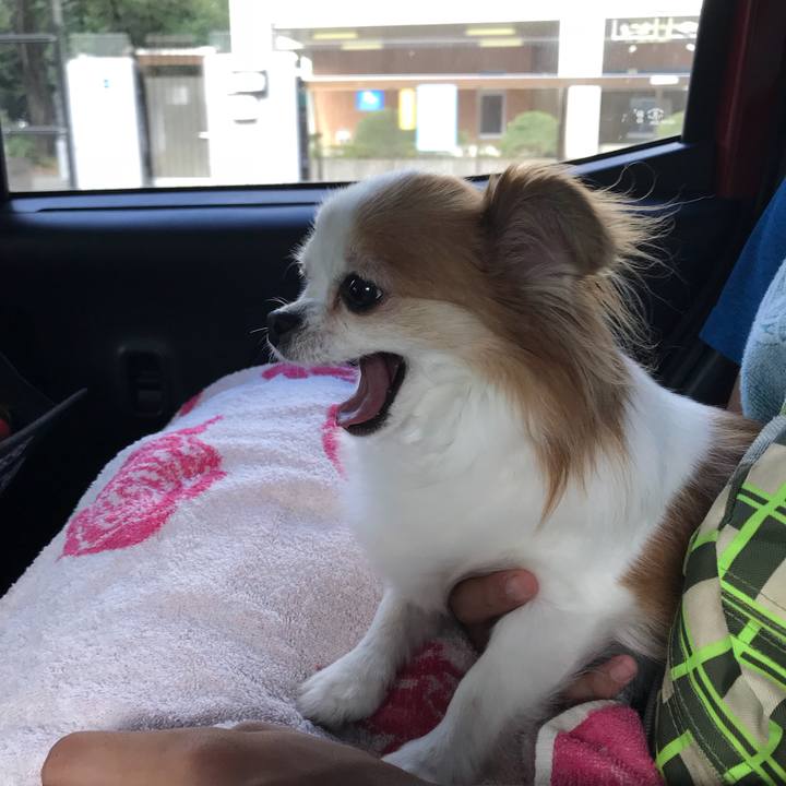 C4262813 3c33 497c a3a5 301d067e383f 1568513912104