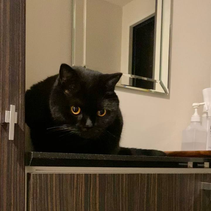 C4262e93 b9cc 49c1 a900 214977bf51cd 1628246825799