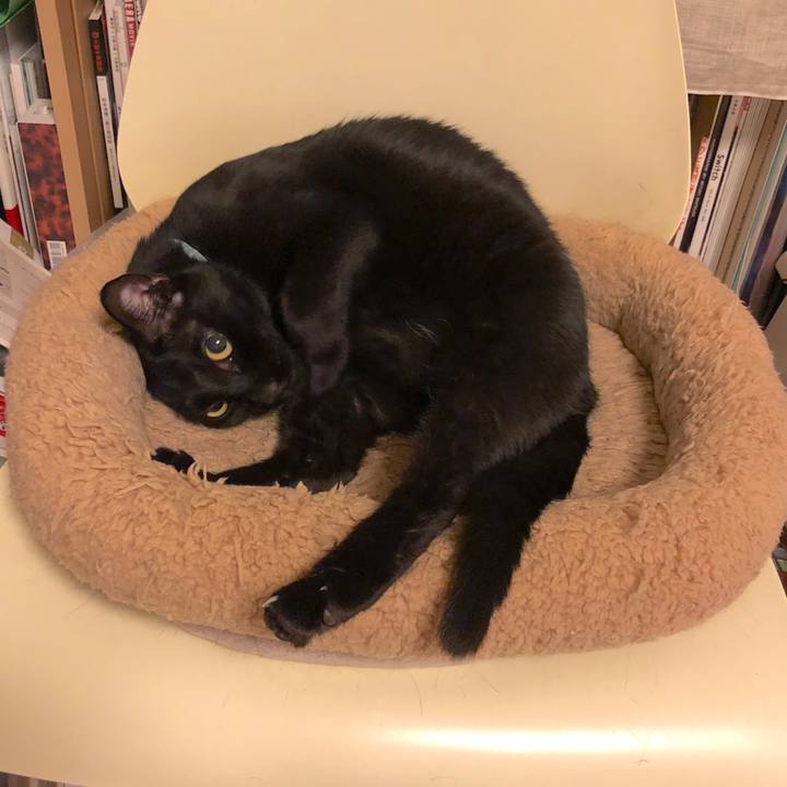 C4265afa 5a57 4b06 93d8 c3c84ae05455 1566216575397