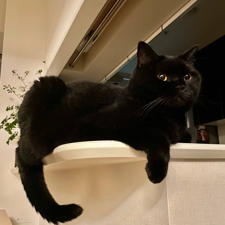 C426d454 a8f7 451a a9a7 3364354daa47 1662283598180