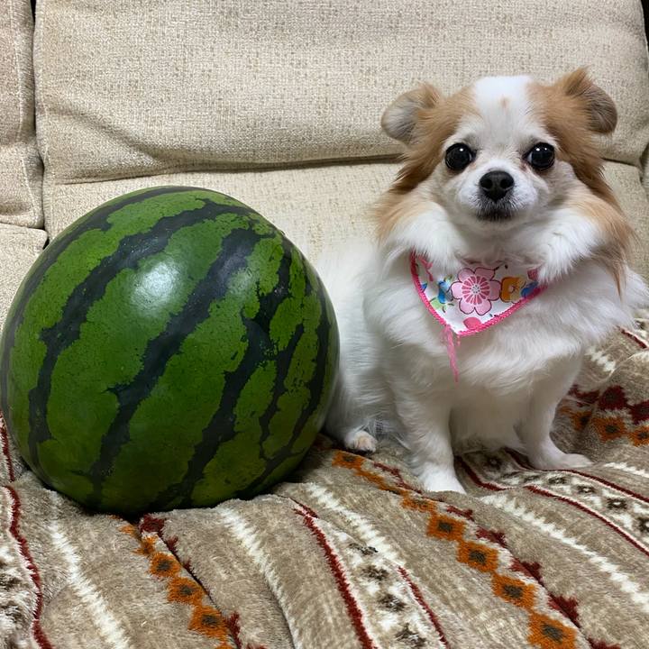 C42728c2 420a 471b abe8 5150b7a1cada 1587987054872