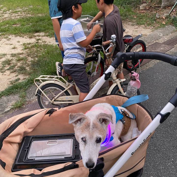 C42765d8 0c72 4b64 a93a 88c88f7af79f 1727605449078