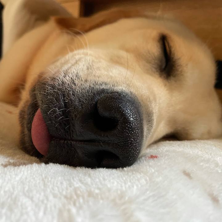 C4278438 ff20 4017 9fd8 cd84d385a883 1634977031289