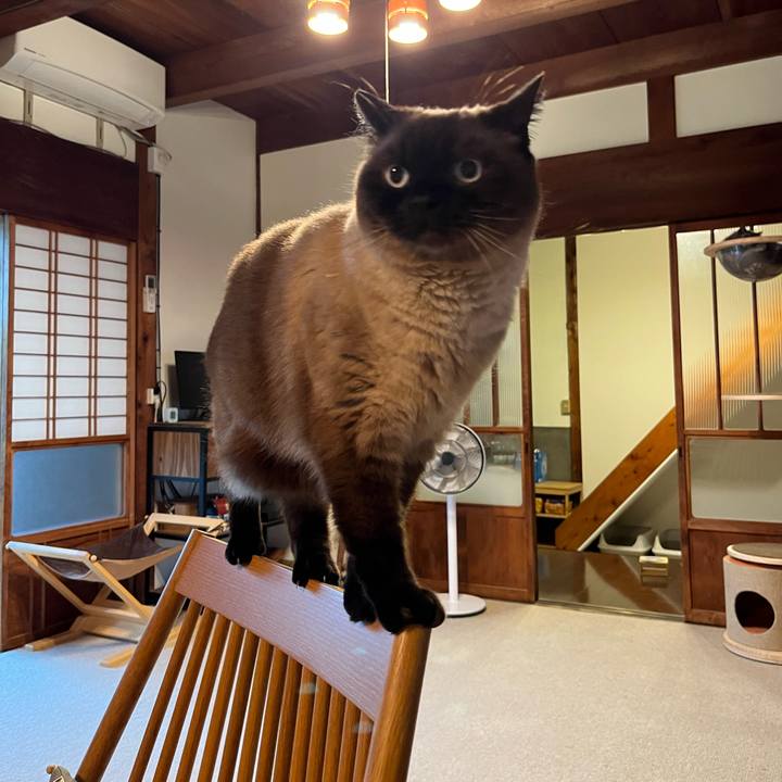 C4278ed6 eee0 471b 8bb1 7653adf9d871 1719275111623