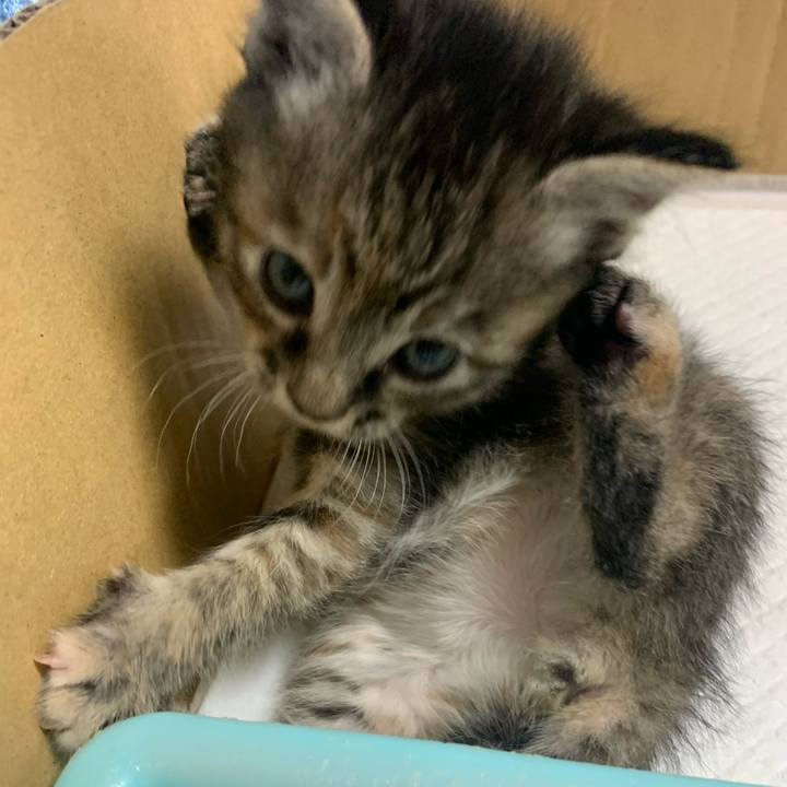 C427917d 7c17 4167 a496 a49a2faf99a6 1588504040781