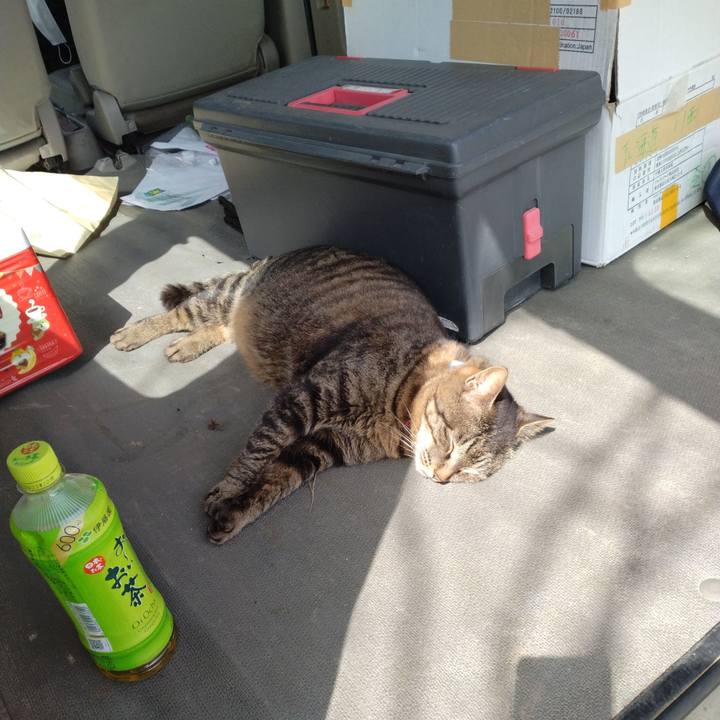 C42797a9 3714 465a 816b c3fef449d95a 1681187718538