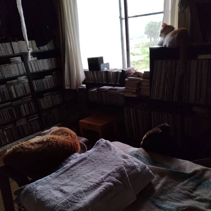 C427b364 ae30 4782 a325 133dbc0da0d2 1751924463508