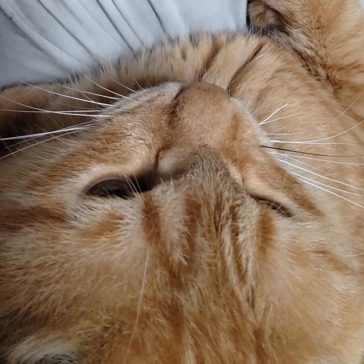 C427c365 0dbe 4d2a 9780 54a8605471d5 1667386039132