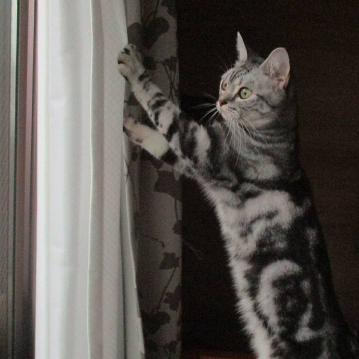 C427dc44 6fe5 4c8c b12b 219e7d4974de 1563799277297